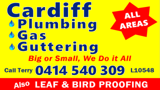CardiffPlumbing-sponsor